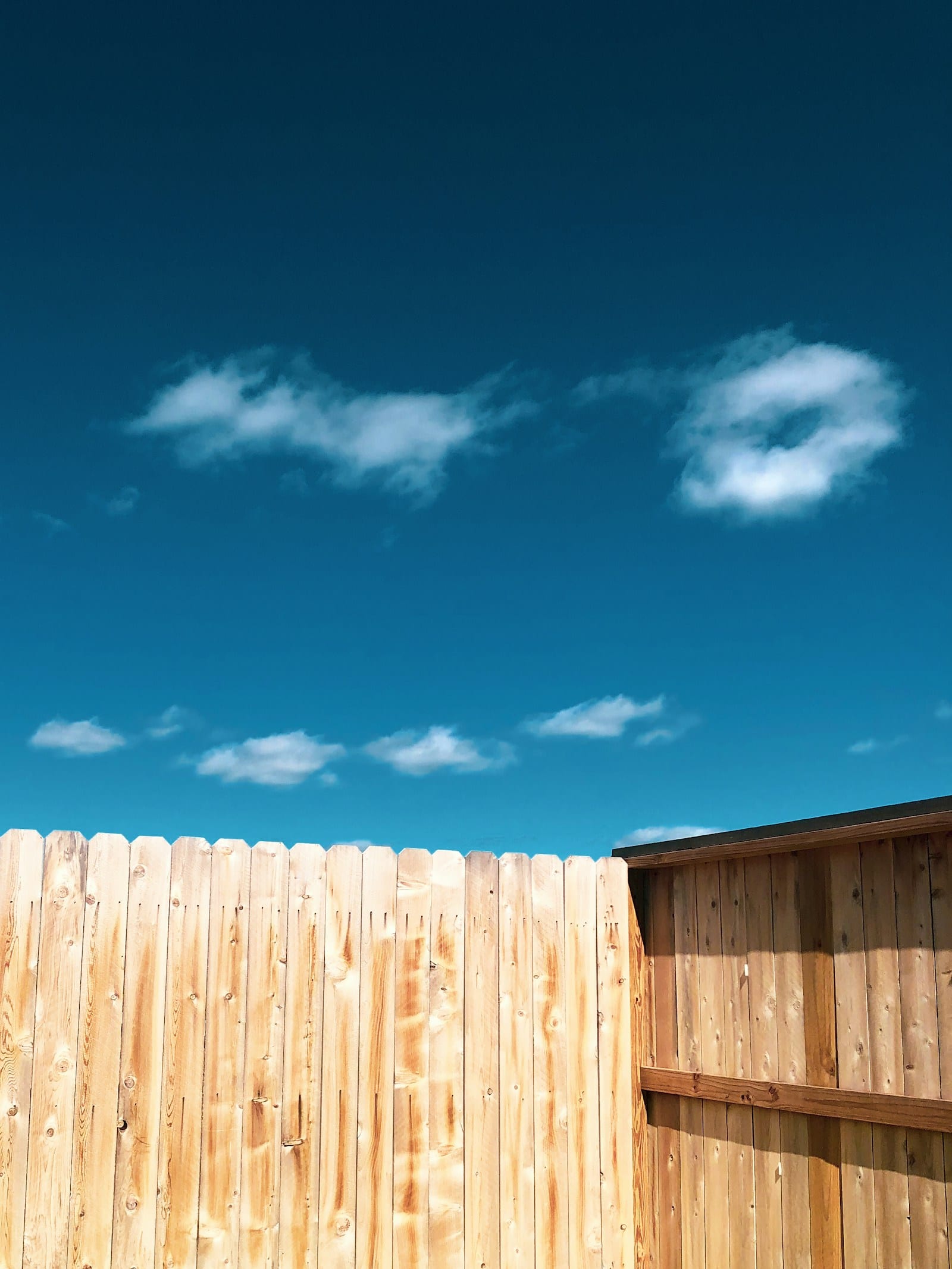Newly built wood privacy fence
